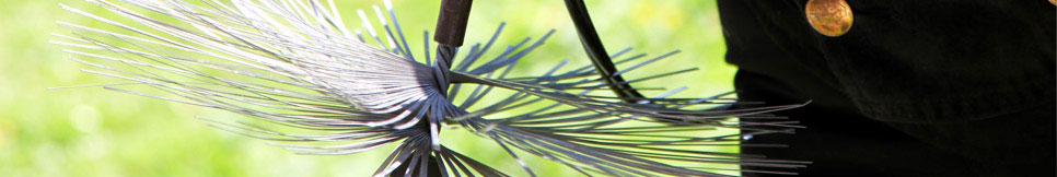 Banner - Thomas Hennig